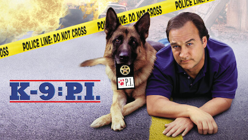 Watch K 9 P I Netflix